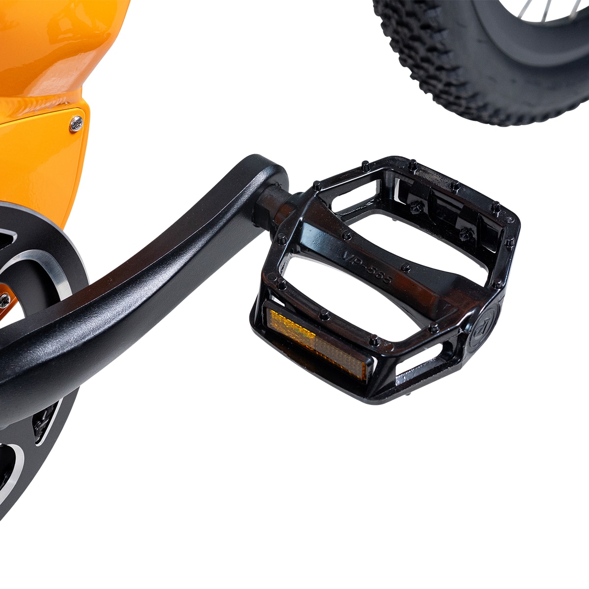 EvoBike Trail 2024