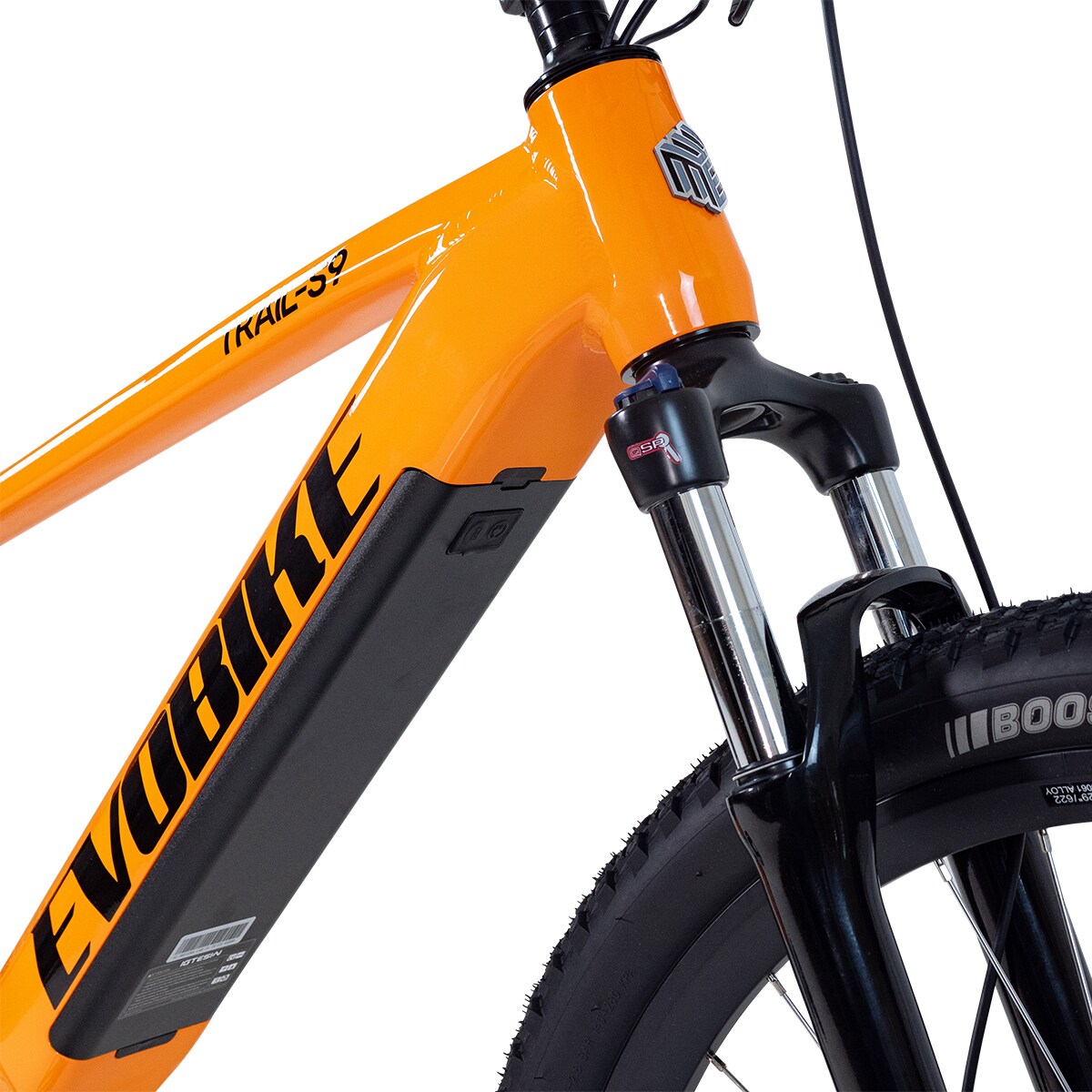 EvoBike Trail 2024
