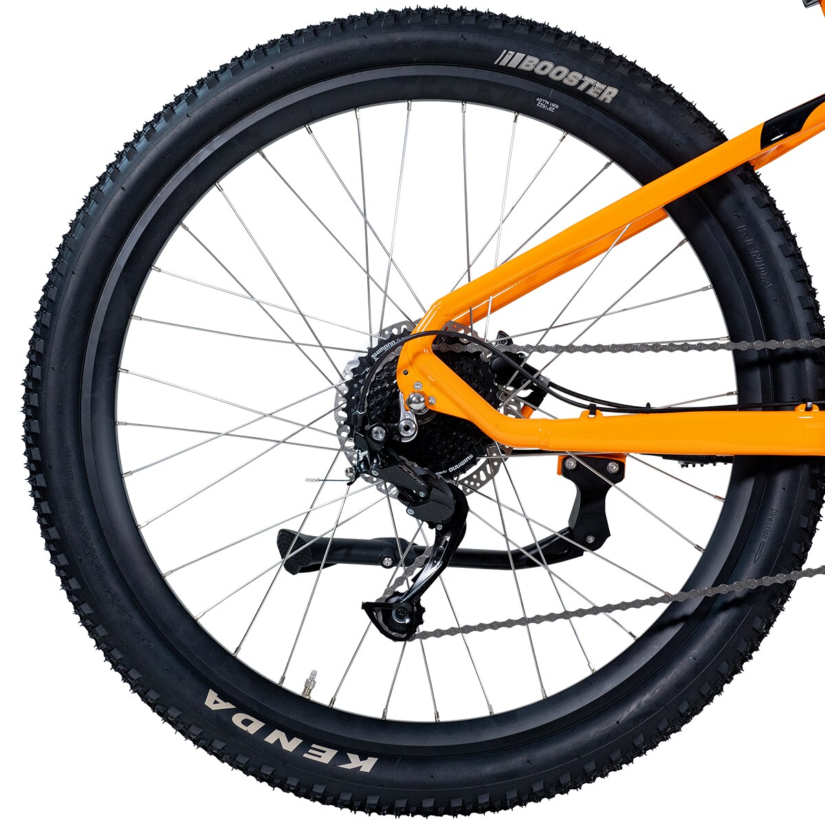 EvoBike Trail 2024
